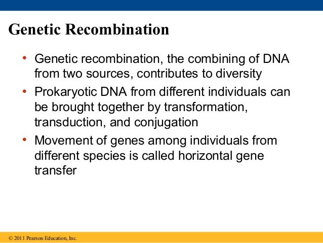 Genetic recombination in bacteria ppt
