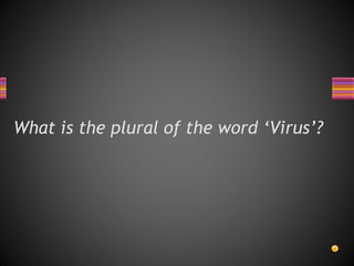 What is the plural of the word ‘Virus’?
 