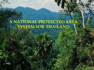 A NATIONAL PROTECTED AREA
SYSTEM FOR THAILAND
 