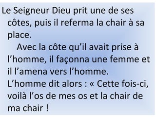 Le Seigneur Dieu prit une de ses
côtes, puis il referma la chair à sa
place.
Avec la côte qu’il avait prise à
l’homme, il façonna une femme et
il l’amena vers l’homme.
L’homme dit alors : « Cette fois-ci,
voilà l’os de mes os et la chair de
ma chair !
 