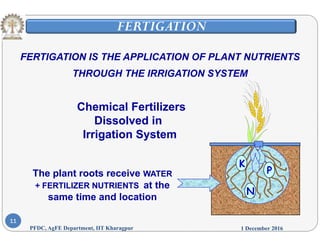 FERTIGATION
FERTIGATIONFERTIGATION IS THE APPLICATION OF PLANT NUTRIENTS
THROUGH THE IRRIGATION SYSTEM
Chemical FertilizersChemical Fertilizers
THROUGH THE IRRIGATION SYSTEM
Chemical FertilizersChemical Fertilizers
Dissolved inDissolved in
Irrigation SystemIrrigation Systemg yg y
Th l t t i WATERWATER
K
PThe plant roots receive WATERWATER
+ FERTILIZER NUTRIENTS+ FERTILIZER NUTRIENTS at the
same time and location
N
P
1 December 2016PFDC, AgFE Department, IIT Kharagpur
11
 