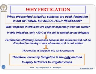 WHY FERTIGATION
When pressurized irrigation systems are used, fertigation
is not OPTIONAL but ABSOLUTELY NECESSARY
What happens if fertilizers are applied separately from the water?
In drip irrigation only 30% of the soil is wetted by the drippersIn drip irrigation, only ~30% of the soil is wetted by the drippers
Fertilization efficiency decreases because the nutrients will not be
The benefits of irrigation will not be expressed
dissolved in the dry zones where the soil is not wetted
The benefits of irrigation will not be expressed
Therefore, correctly fertigation is the only method
1 December 2016
PFDC, AgFE Department, IIT Kharagpur12
to apply fertilizers to irrigated crops
 