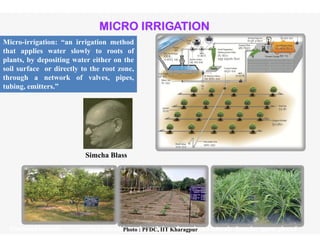 MICRO IRRIGATION
Micro-irrigation: “an irrigation methodMicro irrigation: an irrigation method
that applies water slowly to roots of
plants, by depositing water either on the
soil surface or directly to the root zone,
th h t k f l ithrough a network of valves, pipes,
tubing, emitters.”
Simcha Blass
Overhead laterals            Surface palced laterals       Sub surface placed laterals  Annular space placedPhoto : PFDC, IIT Kharagpur
 