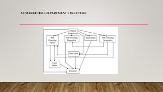 3.2 MARKETING DEPARTMENT STRUCTURE
 