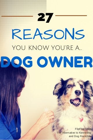 YOU KNOW YOU'RE A...
DOG OWNER
REASONS
27
FlipFlop Dogs
The Alternative to Kenneling
and Dog Franchise
 