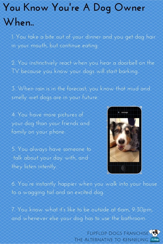 27 Reasons You Know You're A Dog Owner