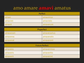 amo amare amavi amatus
                      Perfect
amavi                     amavimus
amavisti                  amavistis
amavit                    amaverunt

                    Pluperfect
amaveram                  amaveramus
amaveras                  amaveratis
amaverat                  amaverant

                   Future Perfect
amavero                   amaverimus
amaveris                  amaveritis
amaverit                  amaverint
 
