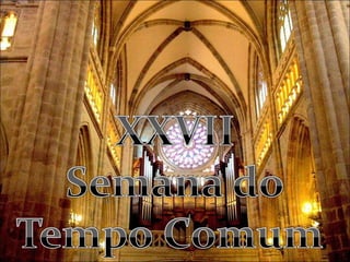 27ª semana do tempo comum - slide missa