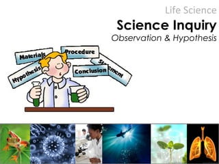 Life Science
Science Inquiry
Observation & Hypothesis
 