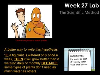 Week 27 Lab
The Scientific Method
Click on the picture to watch a video.
A better way to write this hypothesis:
“IF a fig plant is watered only once a
week, THEN it will grow better than if
watered daily or monthly BECAUSE
some types of plants don’t need as
much water as others.
 
