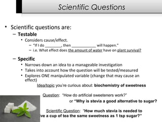 Scientific Questions
• Scientific questions are:
– Testable
• Considers cause/effect.
– “If I do ________, then ____________ will happen.”
– i.e. What effect does the amount of water have on plant survival?
– Specific
• Narrows down an idea to a manageable investigation
• Takes into account how the question will be tested/measured
• Explores ONE manipulated variable (change that may cause an
effect)
Idea/topic you’re curious about: biochemistry of sweetness
Question: “How do artificial sweeteners work?”
or “Why is stevia a good alternative to sugar?
Scientific Question: “How much stevia is needed to
give a cup of tea the same sweetness as 1 tsp sugar?”
 