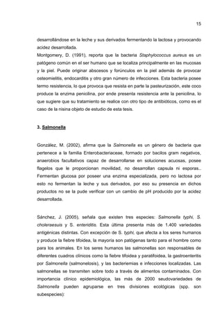 15
desarrollándose en la leche y sus derivados fermentando la lactosa y provocando
acidez desarrollada.
Montgomery, D. (1991), reporta que la bacteria Staphylococcus aureus es un
patógeno común en el ser humano que se localiza principalmente en las mucosas
y la piel. Puede originar abscesos y forúnculos en la piel además de provocar
osteomielitis, endocarditis y otro gran número de infecciones. Esta bacteria posee
termo resistencia, lo que provoca que resista en parte la pasteurización, este coco
produce la enzima penicilina, por ende presenta resistencia ante la penicilina, lo
que sugiere que su tratamiento se realice con otro tipo de antibióticos, como es el
caso de la nisina objeto de estudio de esta tesis.
3. Salmonella
González, M. (2002), afirma que la Salmonella es un género de bacteria que
pertenece a la familia Enterobacteriaceae, formado por bacilos gram negativos,
anaerobios facultativos capaz de desarrollarse en soluciones acuosas, posee
flagelos que le proporcionan movilidad, no desarrollan capsula ni esporas..
Fermentan glucosa por poseer una enzima especializada, pero no lactosa por
esto no fermentan la leche y sus derivados, por eso su presencia en dichos
productos no se la pude verificar con un cambio de pH producido por la acidez
desarrollada.
Sánchez, J. (2005), señala que existen tres especies: Salmonella typhi, S.
choleraesuis y S. enteriditis. Esta última presenta más de 1.400 variedades
antigénicas distintas. Con excepción de S. typhi, que afecta a los seres humanos
y produce la fiebre tifoidea, la mayoría son patógenas tanto para el hombre como
para los animales. En los seres humanos las salmonellas son responsables de
diferentes cuadros clínicos como la fiebre tifoidea y paratifoidea, la gastroenteritis
por Salmonella (salmonelosis), y las bacteriemias e infecciones localizadas. Las
salmonellas se transmiten sobre todo a través de alimentos contaminados. Con
importancia clínico epidemiológica, las más de 2000 seudovariedades de
Salmonella pueden agruparse en tres divisiones ecológicas (spp. son
subespecies):
 