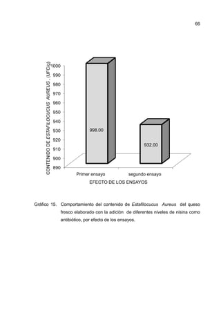 Gráfico 15. Comportamiento del contenido de
fresco elaborado con la adición de diferentes niveles de nisina como
antibiótico, por efecto de los ensayos.
890
900
910
920
930
940
950
960
970
980
990
1000
Primer ensayo
CONTENIDODEESTAFILOCUCUSAUREUS,(UFC/g)
. Comportamiento del contenido de Estafilocucus Aureus
fresco elaborado con la adición de diferentes niveles de nisina como
antibiótico, por efecto de los ensayos.
Primer ensayo segundo ensayo
998.00
932.00
EFECTO DE LOS ENSAYOS
66
Estafilocucus Aureus del queso
fresco elaborado con la adición de diferentes niveles de nisina como
segundo ensayo
 