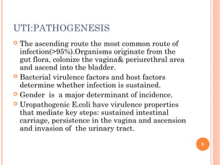 UTI:PATHOGENESIS
 The ascending route the most common route of
infection(>95%).Organisms originate from the
gut flora, colonize the vagina& periurethral area
and ascend into the bladder.
 Bacterial virulence factors and host factors
determine whether infection is sustained.
 Gender is a major determinant of incidence.
 Uropathogenic E.coli have virulence properties
that mediate key steps: sustained intestinal
carriage, persistence in the vagina and ascension
and invasion of the urinary tract.
6
 