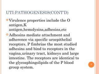 UTI:PATHOGENESIS(CONT’D)
 Virulence properties include the O
antigen,K
antigen,hemolysins,adhesins,etc
 Adhesins mediate attachment and
adherence via specific uroepithelial
receptors. P fimbriae the most studied
adhesins and bind to receptors in the
vagina,urinary tract, kidneys and large
intestine. The receptors are identical to
the glycosphingolipids of the P blood
group system.
7
 