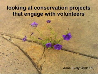 Anna Evely 28/01/09 looking at conservation projects that engage with volunteers 