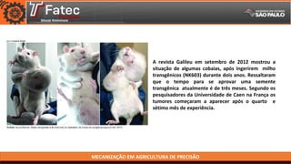 MECANIZAÇÃO EM AGRICULTURA DE PRECISÃO
A revista Galileu em setembro de 2012 mostrou a
situação de algumas cobaias, após ingerirem milho
transgênicos (NK603) durante dois anos. Ressaltaram
que o tempo para se aprovar uma semente
transgênica atualmente é de três meses. Segundo os
pesquisadores da Universidade de Caen na França os
tumores começaram a aparecer após o quarto e
sétimo mês de experiência.
 