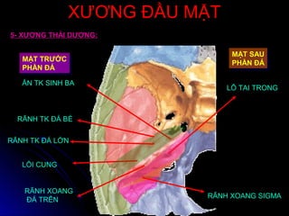 XƯƠNG ĐẦU MẶTXƯƠNG ĐẦU MẶT
MẶT TRƯỚC
PHẦN ĐÁ
MẶT TRƯỚC
PHẦN ĐÁ
ẤN TK SINH BA
LỒI CUNG
RÃNH XOANG
ĐÁ TRÊN
RÃNH TK ĐÁ BÉ
RÃNH TK ĐÁ LỚN
MẶT SAU
PHẦN ĐÁ
MẶT SAU
PHẦN ĐÁ
LỖ TAI TRONG
RÃNH XOANG SIGMA
5- XƯƠNG THÁI DƯƠNG:
 