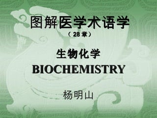 图解 医学术语学 （ 28 章） 生物化学 BIOCHEMISTRY 杨明山 