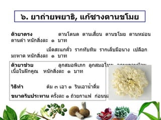 ๖ .  ยาถ่ายพยาธิ ,  แก้ซางตานขโมย ตัวยาตรง   ตานโตนด  ตานเสี้ยน  ตานขโมย  ตานหม่อน  ตานดำ หนักสิ่งละ  ๑  บาท   เม็ดสะแกคั่ว  รากทับทิม  รากเล็บมือนาง  เปลือกมะหาด หนักสิ่งละ  ๑  บาท ตัวยาช่วย   ลูกสมอพิเภก  ลูกสมอไทย  ลูกมะขามป้อม  เนื้อในฝักคูณ หนักสิ่งละ  ๑  บาท วิธีทำ   ต้ม ๓ เอา ๑  รินเอาน้ำดื่ม ขนาดรับประทาน  ครั้งละ ๑ ถ้วยกาแฟ  ก่อนนอนในขณะท้องว่าง สรรพคุณ   ขับพยาธิ  แก้เด็กพุงโร  ก้อนปอด  อุจจาระขาว    เหม็นเปรี้ยว  เป็นฟองเป็นตานขโมย 