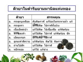 ตัวยาในตำรับยามหานิลแท่งทอง ตัวยา สรรพคุณ กระดูกงูเหลือม ดับพิษกาฬ  แก้ร้อนในกระหายน้ำ  แก้เมื่อย กระดูกกา แก้ไข้พิษ  ไข้กาฬทั้งปวง เนื้อเม็ดสะบ้ามอญ แก้ไข้พิษ  ไข้เซื่องซึม  แก้พิษร้อน หวายตะค้า แก้ไข้พิษ  ไข้กาฬ  แก้พิษร้อน  ชักสลบ  แก้หอบ เม็ดมะกอก แก้ไข้พิษ  ไข้กาฬ ลูกมะคำดีควาย แก้พิษร้อน  พิษไข้  พิษกาฬ ถ่านไม้สัก แก้ไข้พิษ  ไข้กาฬ หมึกหอม แก้ไข้  แก้ซาง 