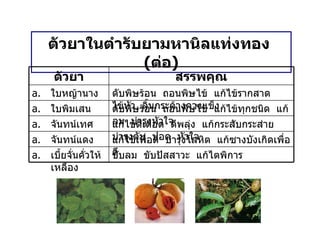 ตัวยาในตำรับยามหานิลแท่งทอง  ( ต่อ ) ตัวยา สรรพคุณ ใบหญ้านาง ดับพิษร้อน  ถอนพิษไข้  แก้ไข้รากสาด  ไข้หัว  ลิ้นกระด้างคางแข็ง ใบพิมเสน ดับพิษร้อน  ถอนพิษไข้  แก้ไข้ทุกชนิด  แก้ลม  บำรุงหัวใจ จันทน์เทศ แก้ไข้ดีเดือด  ดีพลุ่ง  แก้กระสับกระส่าย  บำรุงตับ  ปอด  หัวใจ จันทน์แดง แก้ไข้เพื่อดี  บำรุงโลหิต  แก้ซางบังเกิดเพื่อดี เบี้ยจั่นคั่วให้เหลือง ขับลม  ขับปัสสาวะ  แก้ไตพิการ 