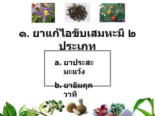 ๑ .  ยาแก้ไอขับเสมหะมี ๒ ประเภท ยาประสะมะแว้ง ยาอัมฤควาที 