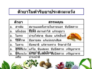 ตัวยาในตำรับยาประสะมะแว้ง ตัวยา สรรพคุณ สารส้ม สมานแผลทั้งภายในภายนอก  ขับปัสสาวะ  ขับนิ่ว ขมิ้นอ้อย ขับลม สมานลำไส้  แก้ระดูขาว  แก้อักเสบ ใบกระเพรา บำรุงไฟธาตุ  ขับลม  แก้คลื่นเหียนอาเจียน ใบสวาด ขับผายลม  แก้แน่นจุกเสียด ใบตานหม่อน ขับพยาธิ  แก้ตานทราง  รักษาลำไส้ ลูกมะแว้งต้น แก้ไอ  ขับเสมหะ  ขับปัสสาวะ  เจริญอาหาร  บำรุงน้ำดี  แก้เจ็บคอ ลูกมะแว้งเครือ แก้ไอ  ขับเสมหะ  ขับปัสสาวะ  เจริญอาหาร  บำรุงน้ำดี 