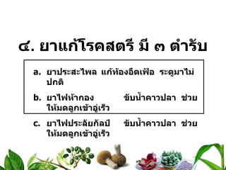 ๔ .  ยาแก้โรคสตรี มี ๓ ตำรับ ยาประสะไพล แก้ท้องอืดเฟ้อ  ระดูมาไม่ปกติ ยาไฟห้ากอง ขับน้ำคาวปลา  ช่วยให้มดลูกเข้าอู่เร็ว ยาไฟประลัยกัลป์ ขับน้ำคาวปลา  ช่วยให้มดลูกเข้าอู่เร็ว 