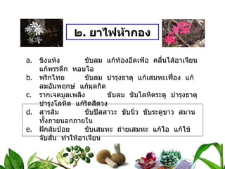 ๒ .  ยาไฟห้ากอง ขิงแห้ง   ขับลม  แก้ท้องอืดเฟ้อ  คลื่นไส้อาเจียน  แก้พรรดึก  หอบไอ พริกไทย   ขับลม  บำรุงธาตุ  แก้เสมหะเฟื่อง  แก้ลมอัมพฤกษ์  แก้มุตกิด รากเจตมูลเพลิง   ขับลม  ขับโลหิตระดู  บำรุงธาตุ  บำรุงโลหิต  แก้ริดสีดวง สารส้ม   ขับปัสสาวะ  ขับนิ่ว  ขับระดูขาว  สมานทั้งภายนอกภายใน ฝักส้มป่อย   ขับเสมหะ  ถ่ายเสมหะ  แก้ไอ  แก้ไข้จับสั่น  ทำให้อาเจียน วิธีทำ   ยาทั้งนี้เสมอภาค  บดเป็นผง สรรพคุณ   ขับน้ำคาวปลาในเรือนไฟ  ช่วยให้มดลูกเข้าอู่เร็ว ขนาดรับประทาน  ครั้งละ ๑ ช้อนกาแฟ  ก่อนอาหาร ๓ เวลา  ละลายน้ำสุกหรือน้ำสุรา 