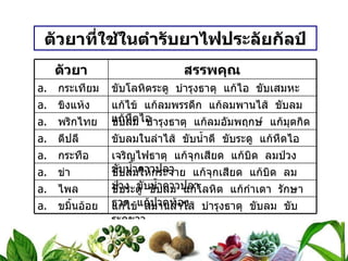 ตัวยาที่ใช้ในตำรับยาไฟประลัยกัลป์ ตัวยา สรรพคุณ กระเทียม ขับโลหิตระดู  บำรุงธาตุ  แก้ไอ  ขับเสมหะ ขิงแห้ง แก้ไข้  แก้ลมพรรดึก  แก้ลมพานไส้  ขับลม  แก้หืดไอ พริกไทย ขับลม  บำรุงธาตุ  แก้ลมอัมพฤกษ์  แก้มุตกิด ดีปลี ขับลมในลำไส้  ขับน้ำดี  ขับระดู  แก้หืดไอ กระทือ เจริญไฟธาตุ  แก้จุกเสียด  แก้บิด  ลมป่วง  ขับน้ำคาวปลา ข่า ขับลมให้กระจาย  แก้จุกเสียด  แก้บิด  ลมป่วง  ขับน้ำคาวปลา ไพล ขับระดู  ขับลม  แก้โลหิต  แก้กำเดา  รักษาธาตุ  แก้ปวดท้อง ขมิ้นอ้อย แก้ไข้  สมานลำไส้  บำรุงธาตุ  ขับลม  ขับระดูขาว 