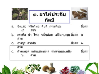 ๓ .  ยาไฟประลัยกัลป์ ขิงแห้ง  พริกไทย  ดีปลี  กระเทียม สิ่งละ ๔  ส่วน กระทือ  ข่า  ไพล  ขมิ้นอ้อย  เปลือกมะรุม สิ่งละ ๕  ส่วน การบูร  สารส้ม สิ่งละ ๖  ส่วน ผิวมะกรูด  แก่นแสมทะเล  รากเจตมูลเพลิง สิ่งละ ๖  ส่วน วิธีทำ   บดเป็นผง สรรพคุณ   ขับน้ำคาวปลาในเรือนไฟ  ช่วยให้มดลูกเข้าอู่ ขนาดรับประทาน  ครั้งละ ๑ ช้อนกาแฟ  ก่อนอาหาร ๓ เวลา  ละลายน้ำสุกหรือน้ำสุรา 