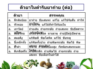 ตัวยาในตำรับยาถ่าย  ( ต่อ ) ตัวยา สรรพคุณ ฝักส้มป่อย ยาถ่าย  ขับเสมหะ  แก้ไอ  แก้ไข้จับสั่น  ทำให้อาเจียน หัวหอม บำรุงธาตุ  แก้ไข้ทีทำให้ร้อนใน เถาวัลย์เปรียง ถ่ายเส้น  ถ่ายกระษัย  ถ่ายเสมหะ  ขับปัสสาวะ  แก้เหน็บชา สมอไทย แก้ลมจุกเสียด  ผายธาตุ  ถ่ายรู้ปิดรู้เปิดธาตุ สมอดีงู แก้พิษดี  พิษโลหิต  แก้ไข้  ขับระดู ขี้เหล็กทั้ง ๕ แก้พิษทั้งปวง  ถ่ายพิษกระษัย  พิษไข้  พิษเสมหะ  ถ่ายเส้น ยาดำ ระบาย  ถ่ายลมเบื้องสูง  กัดฟอกเสมหะและโลหิต ดีเกลือฝรั่ง ถ่ายพรรดึก  ถ่ายพิษไข้  ถ่ายกระษัย  ถ่ายเสมหะ  ขับเมือกในลำไส้ 