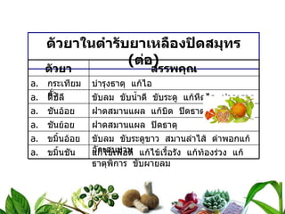ตัวยาในตำรับยาเหลืองปิดสมุทร  ( ต่อ ) ตัวยา สรรพคุณ กระเทียมคั่ว บำรุงธาตุ  แก้ไอ ดีปลี ขับลม  ขับน้ำดี  ขับระดู  แก้หืดไอ  บำรุงธาตุ ชันอ้อย ฝาดสมานแผล  แก้บิด  ปิดธาตุ ชันย้อย ฝาดสมานแผล  ปิดธาตุ ขมิ้นอ้อย ขับลม  ขับระดูขาว  สมานลำไส้  ตำพอกแก้อักเสบบวม ขมิ้นชัน แก้ไข้เพื่อดี  แก้ไข้เรื้อรัง  แก้ท้องร่วง  แก้ธาตุพิการ  ขับผายลม 