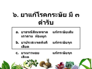 ๖ .  ยาแก้โรคกระษัย มี ๓ ตำรับ ยาธรณีสัณฑฆาต แก้กระษัยเส้น  เถาดาน  ท้องผูก ยาประสะเจตพังคี แก้กระษัยจุกเสียด ยาเนาวหอย แก้กระษัยจุกเสียด 