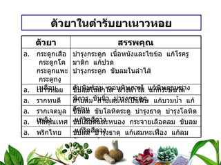 ตัวยาในตำรับยาเนาวหอย ตัวยา สรรพคุณ กระดูกเสือ  กระดูกโค  กระดูกแพะ  กระดูกงูเหลือม บำรุงกระดูก  เนื้อหนังและไขข้อ  แก้โรครูมาติก  แก้ปวด บำรุงกระดูก  ขับลมในลำไส้ ดับพิษร้อน  ถอนพิษกาฬ  แก้พิษตานซาง เนาวหอย ขับลมในลำไส้  ล้างลำไส้  แก้กระษัยไตพิการ  ขับนิ่ว  บำรุงกระดูก รากทนดี ถ่ายลม  ถ่ายเสมหะเป็นพิษ  แก้บวมน้ำ  แก้ดีซ่าน รากเจตมูลเพลิง ขับลม  ขับโลหิตระดู  บำรุงธาตุ  บำรุงโลหิต  แก้ริดสีดวง หัสคุณเทศ ขับเลือดและหนอง  กระจายเลือดลม  ขับลม  แก้ริดสีดวง พริกไทย ขับลม  บำรุงธาตุ  แก้เสมหะเฟื่อง  แก้ลมอัมพฤกษ์ 