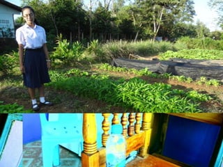 28สวนเกษตรอินทรีย์