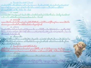 56. เรื่องน่ารู้ทางวิทยาศาสตร์ ระเบิดควัน 
ปลาหมึกยักษ์มีวิธีการป้องกันตัวคล้ายการสร้างระเบิดควันของทหาร เมื่อเผชิญหน้ากับศัตรู มันจะพ่นหมึกดาในถุงด้านหลังลาตัว ออกมาทาให้น้าบริเวณรอบ ๆ ขุ่นดา แล้วมันจะรีบหนีไป นักวิทยาศาสตร์พบว่ามันสามารถเปลี่ยนสีหมึกของมันให้เข้ากับ สภาพแวดล้อมได้ด้วย เช่น สีแดง สีเหลือง สีเทา เป็นต้น 
57. กบหดตัว 
กบพาราดอกซิคัล (Paradoxical) ในอเมริกาใต้มีความพิเศษคือยิ่งมันเจริญเติบโตขึ้นตัวก็ยิ่งเล็กลง เมื่อเป็นลูกอ๊อดมันมีลาตัว ยาวถึง 10 นิ้ว แต่เมื่อโตเป็นกบลาตัวจะหดลงจนเหลือขนาดไม่เกิน 3 นิ้วเท่านั้น 
58. หนอนกระสือ 
หนอนกระสือตัวเมียจะมีอวัยวะที่เรืองแสงอยู่บริเวณใต้ท้องซึ่งใช้ส่งสัญญาณไปยังปีกของตัวผู้ที่บินอยู่ด้านบน หนอนกระสือตัวเมีย สามารถควบคุมการเปล่งแสงได้ โดยจะใช้แสงต่อเมื่อต้องการดึงดูดตัวผู้เท่านั้น 
59. แสงนาทาง 
รู้ไหมทาไมผีเสื้อกลางคืนจึงชอบบินเข้าหาแสงไฟในตอนกลางคืน เพราะปกติผีเสื้อกลางคืนจะใช้แสงจันทร์นาทาง แต่แสงอื่นทาให้มัน สับสนและประสาททางด้านทิศทางเสียไป ดังนั้น มันจึงพยายามปรับแสงจันทร์ปลอมให้ทามุมเดียวกันกับแสงจันทร์จริง ๆ โดยการบิน เป็นวงกลมเข้ามาใกล้แสงนั้นมากขึ้น 
60. เครื่องขยายเสียง 
จิ้งหรีดตัวผู้จะใช้เสียงเพลงซึ่งเกิดจากขาหน้าเสียดสีกันการดึงดูดตัวเมีย แต่จะไม่ดังนัก มันจึงสร้างเครื่องขยายเสียงชนิดพิเศษ โดย การขุดรังใต้ดินให้มีอุโมงค์ทางเข้าสองทาง แล้วก็ยืนส่งเสียงไพเราะอยู่ทางอุโมงค์ด้านหนึ่ง แต่ที่แปลกอีกอย่างหนึ่งก็คือ หูที่ไวต่อ เสียงของมันไม่ได้อยู่ที่หัวแต่ที่อยู่ที่ขา 
61. เรื่องน่ารู้ทางวิทยาศาสตร์?สัตว์มีเหงื่อหรือไม่ 
สุนัขก็มีเหงื่อครับ แต่เหงื่อของมันจะออกบริเวณฝ่าเท้า นอกจากนี้สัตว์อื่น ๆ เช่น วัว จะมีเหงื่อออกทางจมูก ส่วนเหงื่อของ ฮิปโปโปเตมัสจะออกมาจากทุกส่วนของร่างกายและจะเป็นเหงื่อสีแดง ลองสังเกตนะครับว่าสัตว์อื่น ๆ มีเหงื่อออกที่ส่วนใดของร่างกาย 
62. หนึ่งไม่มีสอง 
คนเรามีลายนิ้วมือไม่เหมือนกัน ม้าลายแต่ละตัวก็มีแถบลายเฉพาะที่ซึ่งจะไม่ซ้ากับม้าลายตัวอื่น ๆ เช่นกัน 
63. หนูนักร้อง 
หนูเป็นสัตว์ที่สามารถร้องเพลงได้ แต่เสียงร้องของมันจะเป็นเสียงซูเปอร์โซนิค (Supersonic) ซึ่งมีลักษณะเป็นเสียงสูง 
และรัว ทาให้เราไม่ได้ยินเสียงเพลงของมัน แต่ถ้ามันลดระดับเสียงให้ต่าลงจนถึงระดับปกติที่เราสามารถได้ยิน 
เราก็จะได้ยินเสียงเพลงจากหนูได้  