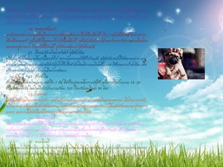 49. หางเก็บอาหาร 
มีสัตว์อยู่หลายชนิดที่มีหางและหางของมันก็ใช้ประโยชน์ได้แตกต่างกันไป อย่างเช่น แกะพันธุ์หนึ่งที่ใช้หางของ มันทาหน้าที่เก็บหญ้าซึ่งเป็นอาหารของมันไว้ เมื่อหญ้าขาดแคลน หญ้าที่ถูกสะสมไว้ที่หางก็จะเปลี่ยนเป็นไขมัน เพื่อให้พลังงานแก่ร่างกาย 
50. หูหนวกเต้นระบา 
หากใครเคยชมภาพยนตร์อินเดียคงจะเคยเห็นงูที่เต้นระบาเมื่อได้ยินเสียงปี่ จริง ๆ แล้วมันไม่ได้เต้นระบาเพราะ เสียงปี่หรอกครับ งูเป็นสัตว์ที่หูหนวกจึงไม่ได้ยินเสียงปี่ แต่ที่มันเต้นส่ายไปส่ายมาก็เพราะจังหวะการเคลื่อนไหว ของหมองูต่างหาก ถ้าลองใช้ไม้แทนปี่ งูก็ยังคงเต้นระบาได้เหมือนกัน 
51. เรื่องน่ารู้ทางวิทยาศาสตร์ สุนัขน้าร้อน 
สุนัขเป็นสัตว์ที่คนนิยมเลี้ยงกันโดยทั่วไป เพราะนอกจากจะใช้เฝ้าบ้านแล้ว สุนัขยังทาหน้าที่ได้หลายอย่าง นาน มาแล้วชาวอินเดียนแอซเทคนาสุนัขพันธุ์เม็กซิโกซึ่งตัวเล็กนิดเดียวและมีขนสั้นบางมาใช้แทนกระเป๋าน้าร้อน เพื่อ สร้างความอบอุ่นแก่เท้าเจ้าของเมื่ออากาศหนาว 
52. ช้างนักกิน 
ช้างแอฟริกามีขนาดใหญ่มาก หนักถึง 7 ตัน ที่ตัวใหญ่ขนาดนี้เพราะมันใช้เวลาในการกินประมาณ 18-20 ชั่วโมงต่อหนึ่งวัน โดยกินพืชผักประมาณวันละ 350 กิโลกรัมและกินน้า 90 ลิตร 
53. กินทางตา 
โดยปกติสัตว์จะกินอาหารทางปาก แต่สาหรับคางคกและกบแล้ว พวกมันจะกินอาหารทางตา เมื่อกินอาหารมัน จะปิดตาแน่น ดันลูกตาที่แข็งให้ชนเพดานปากทาให้เพดานปากถูกกดลงมาแนบกับลิ้นแล้วดันอาหารลงสู่กระเพาะ อาหาร นอกจากนี้มันยังดื่มน้าโดยการดูดซึมน้าผ่านทางผิวหนังด้วย 
54. ปลิงป้องกันตัว 
ปลิงทะเลในมหาสมุทรแปซิฟิกมีวิธีป้องกันตัวเองที่แปลกคือ เมื่อถูกทาร้ายมันจะหดตัวทันทีและจะดันอวัยวะ ภายในของมันออกมา แต่มันก็ยังไม่ตาย อวัยวะเหล่านั้นจะเป็นอาหารของผู้ที่ทาร้ายมัน แล้วมันจะค่อย ๆ หลบหนีไป จากนั้น 2 ?3 สัปดาห์อวัยวะภายในของมันก็จะงอกใหม่ 
55. ตาเคลื่อนที่ 
ปลาลิ้นหมาไม่ได้มีตาเดียวอย่างที่พวกเราเห็นกัน ตอนแรกที่มันเกิดมามันจะมี 2 ตา แต่เมื่ออายุมากขึ้น ตาของ มันจะย้ายตาแหน่งมารวมกัน โดยเคลื่อนที่ไปรวมกับตาอีกข้างหนึ่งซึ่งอยู่บนหัว  