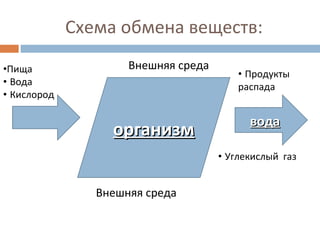 Схема обмена веществ: 
Внешняя среда 
ооррггааннииззмм 
Внешняя среда 
ввооддаа 
•Пища 
• Вода 
• Кислород 
• Продукты 
распада 
• Углекислый газ 
 