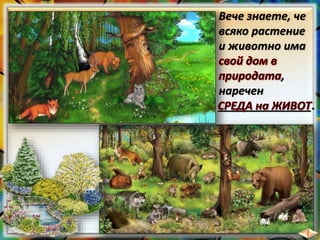 Вече знаете, че
всяко растение
и животно има
,
наречен
_______________.
 