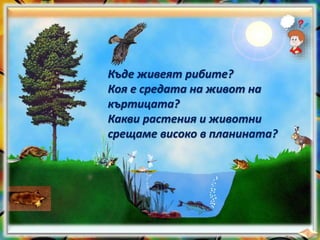 Къде живеят рибите?
Коя е средата на живот на
къртицата?
Какви растения и животни
срещаме високо в планината?
 