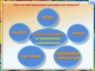 план
на животните
и растенията:
 