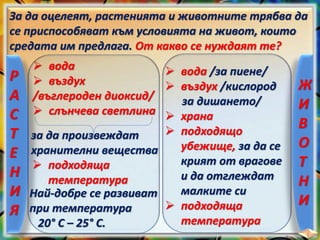 За да оцелеят, растенията и животните трябва да
се приспособяват към условията на живот, които
средата им предлага. От какво се нуждаят те?
Р
А
С
Т
Е
Н
И
Я
 вода
 въздух
/въглероден диоксид/
 слънчева светлина
за да произвеждат
хранителни вещества
 подходяща
температура
Най-добре се развиват
при температура
20° С – 25° С.
Ж
И
В
О
Т
Н
И
 вода /за пиене/
 въздух /кислород
за дишането/
 храна
 подходящо
убежище, за да се
крият от врагове
и да отглеждат
малките си
 подходяща
температура
 