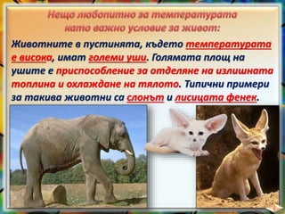 Животните в пустинята, където температурата
е висока, имат големи уши. Голямата площ на
ушите е приспособление за отделяне на излишната
топлина и охлаждане на тялото. Типични примери
за такива животни са слонът и лисицата фенек.
 