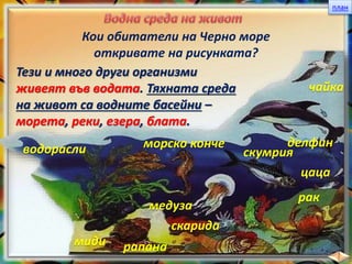 план
Кои обитатели на Черно море
откривате на рисунката?
чайка
делфинморско конче
скумрия
цаца
рак
скарида
медуза
рапанамиди
водорасли
Тези и много други организми
живеят във водата. Тяхната среда
на живот са водните басейни –
морета, реки, езера, блата.
 