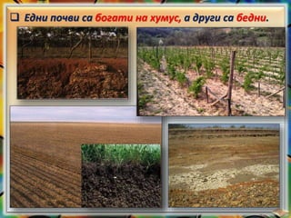  Едни почви са богати на хумус, а други са бедни.
 