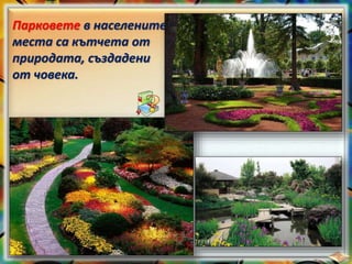 Парковете в населените
места са кътчета от
природата, създадени
от човека.
 