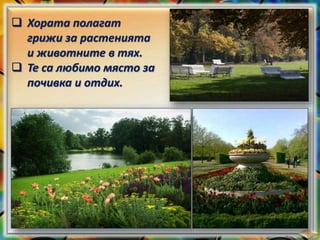  Хората полагат
грижи за растенията
и животните в тях.
 Те са любимо място за
почивка и отдих.
 