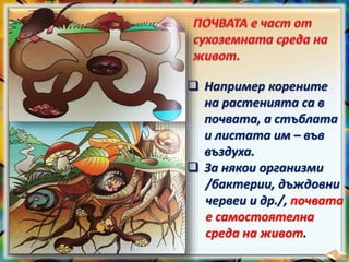  Например корените
на растенията са в
почвата, а стъблата
и листата им – във
въздуха.
 За някои организми
/бактерии, дъждовни
червеи и др./, почвата
е самостоятелна
среда на живот.
 